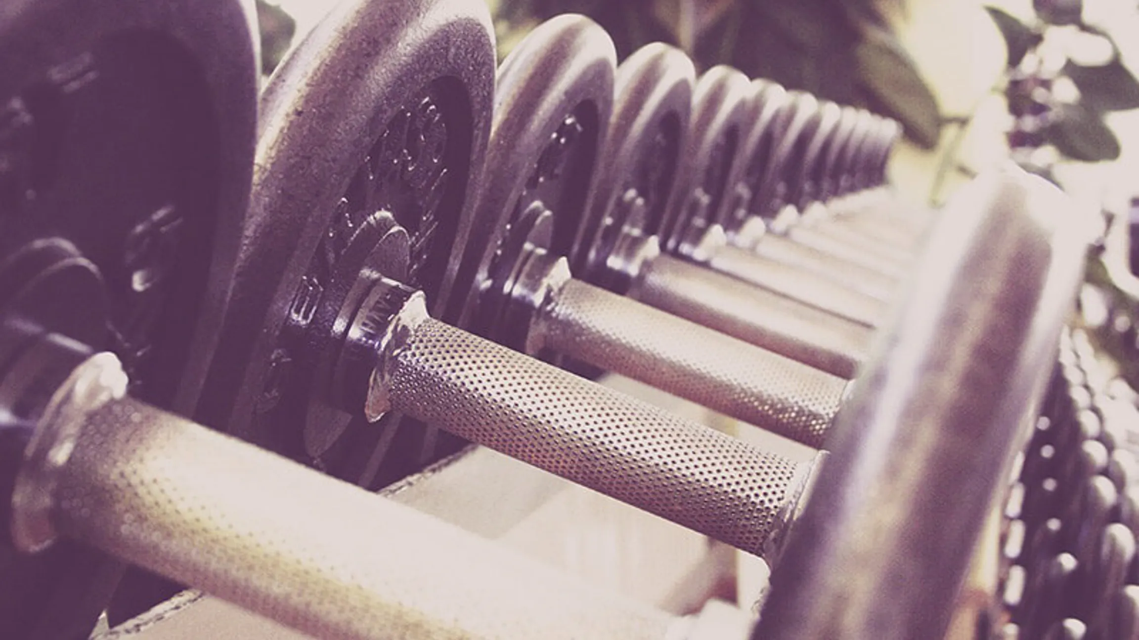 Der optimale Trainingssplit