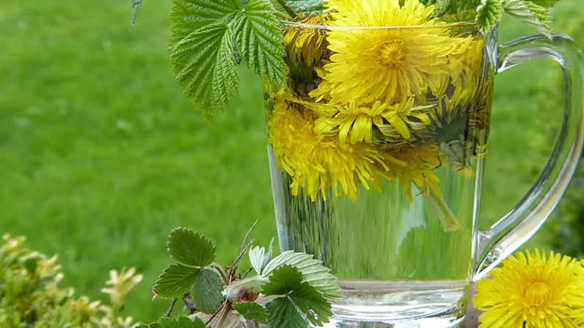 Detox-Diät mit Tee Kur