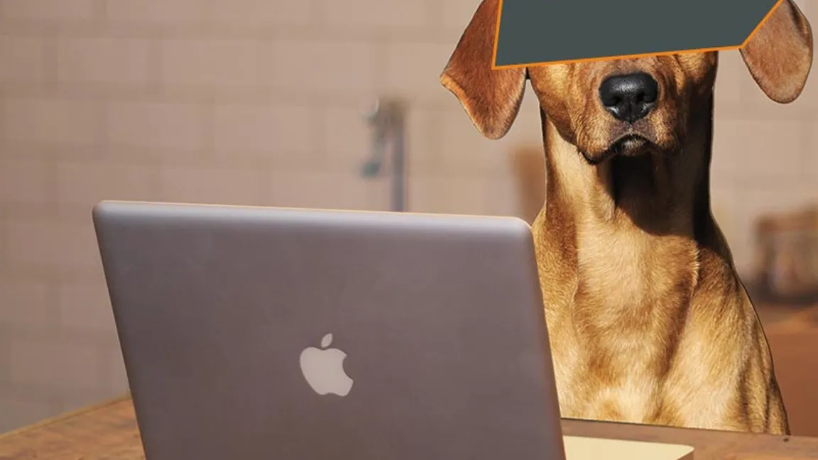 Da war doch was? Der SPOFERAN BLOG