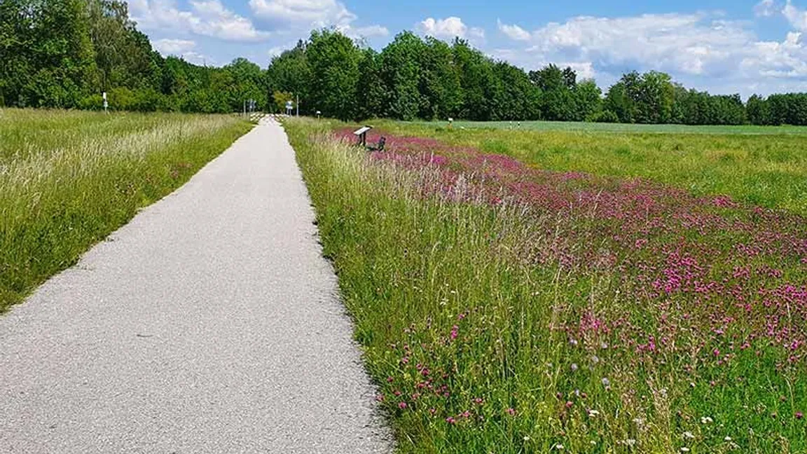 Premiere des TRIATHLON NIEDERBAYERN in Pocking