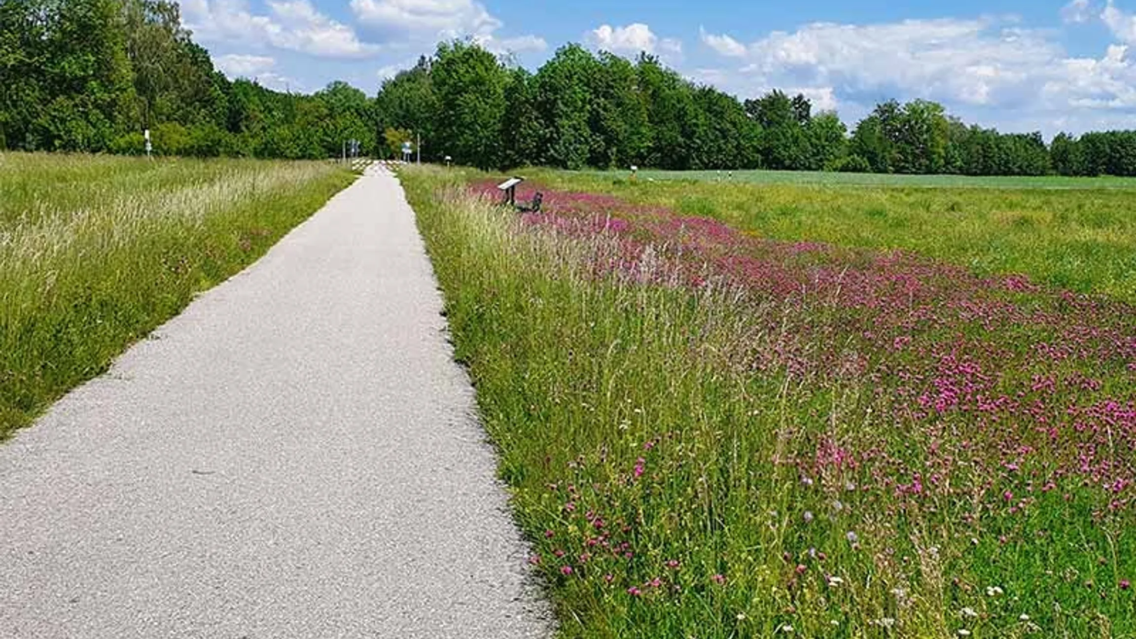 Premiere des TRIATHLON NIEDERBAYERN in Pocking