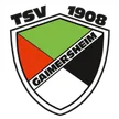 TSV Gaimersheim