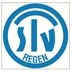 TSV Regen