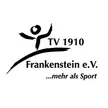 TV Frankenstein
