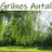 Logo of BI Grünes Autal