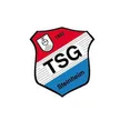 TSG Steinheim