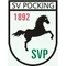 SV Pocking Leichtathletik