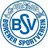 Borener SV