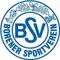 Borener SV