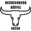 Oechsenberg Büffel