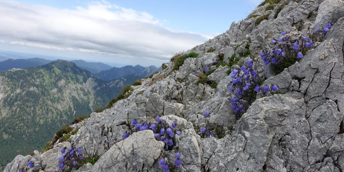 Impressionen Aufstieg zum Gipfel des Säuling