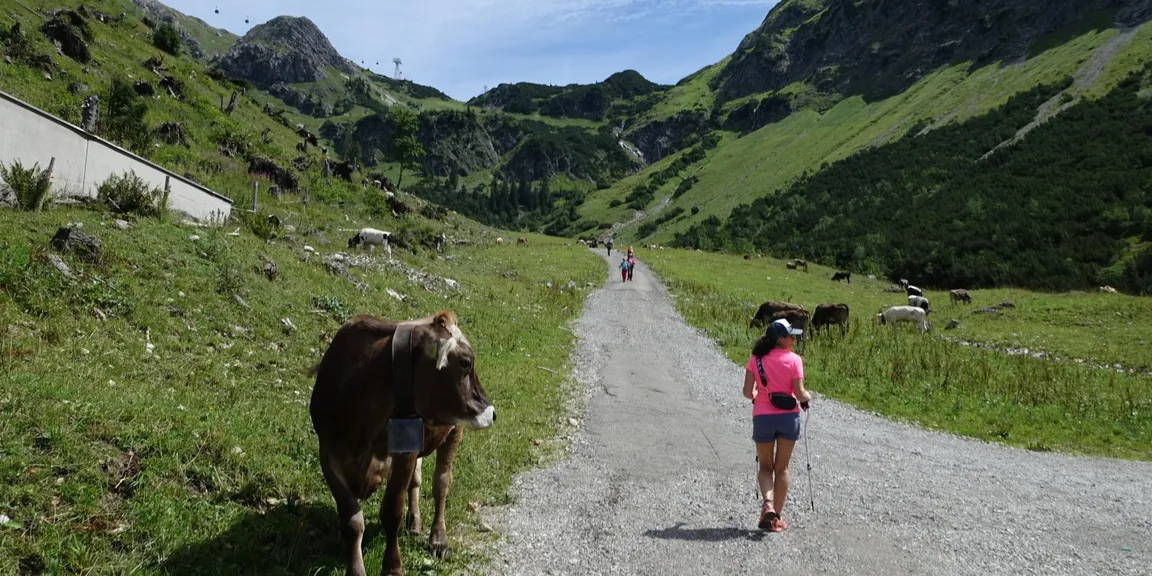 Auf der Wettkampfstrecke Nebelhornlauf ab Talstation über Bergstation bis Nebelhorn*Gipfel