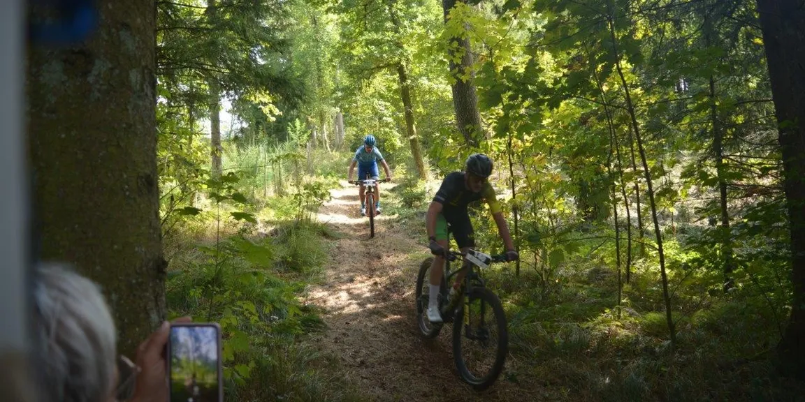 Wald