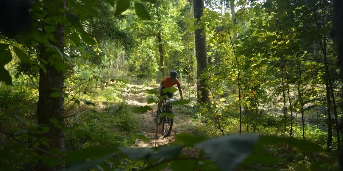 Wald