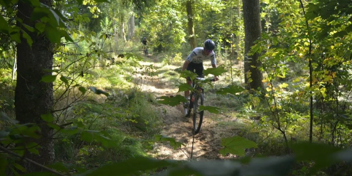 Wald
