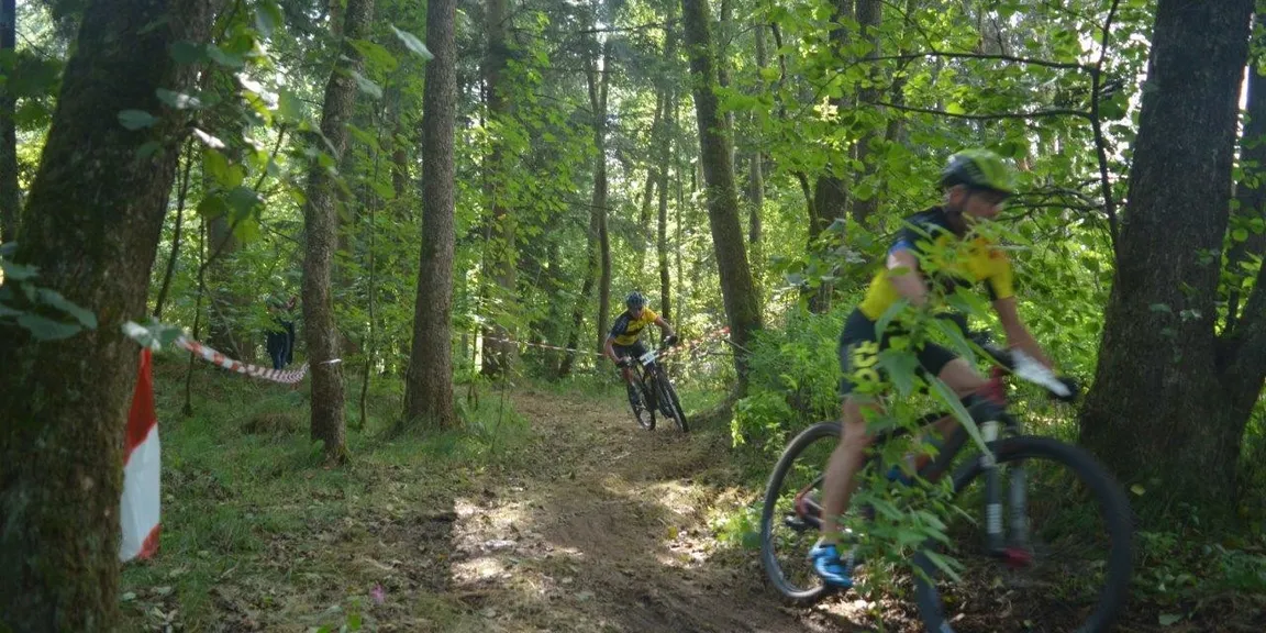 Wald