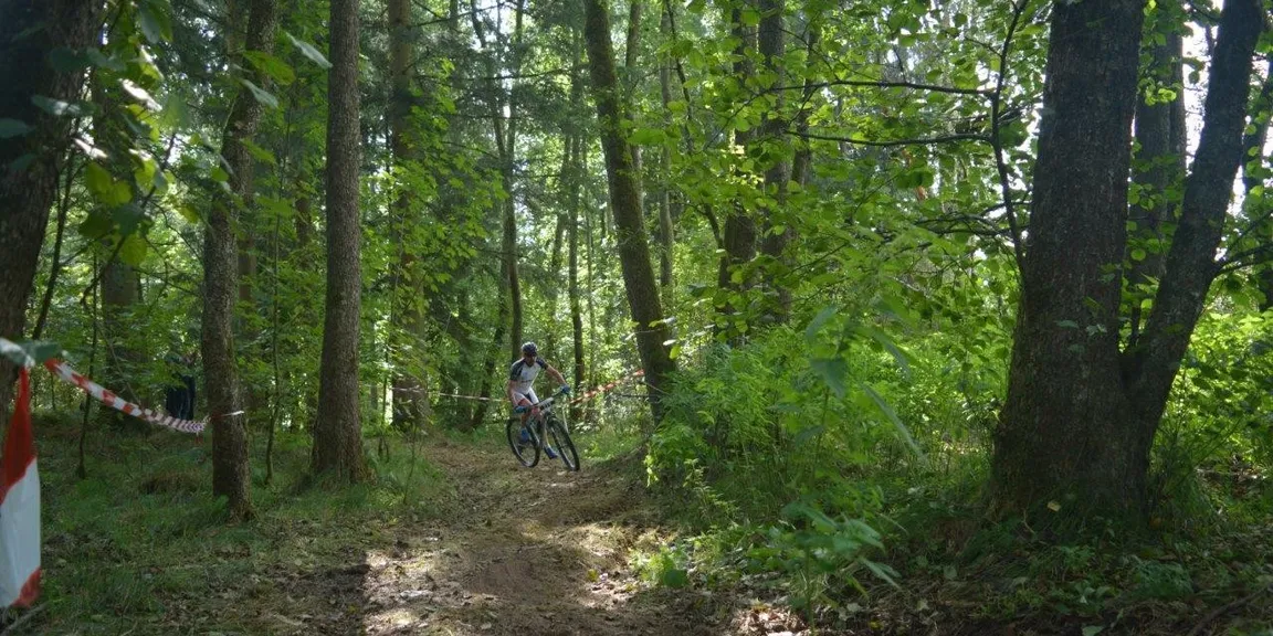 Wald