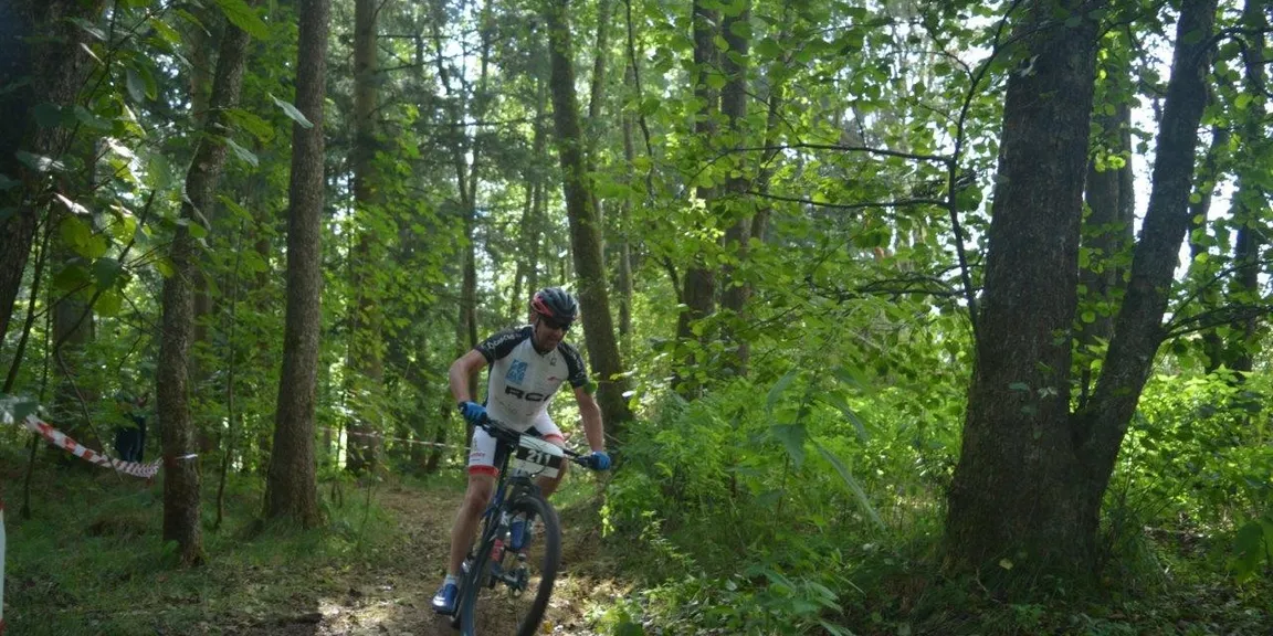 Wald