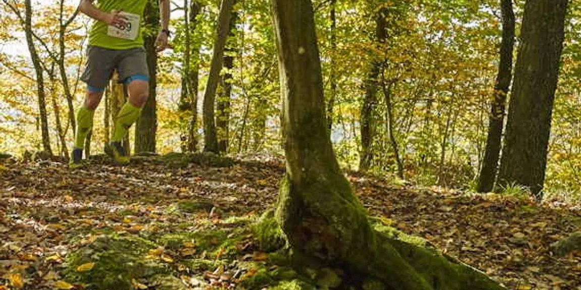 Frankenjura auf Waldpfaden und auf dem "Gebürg"
