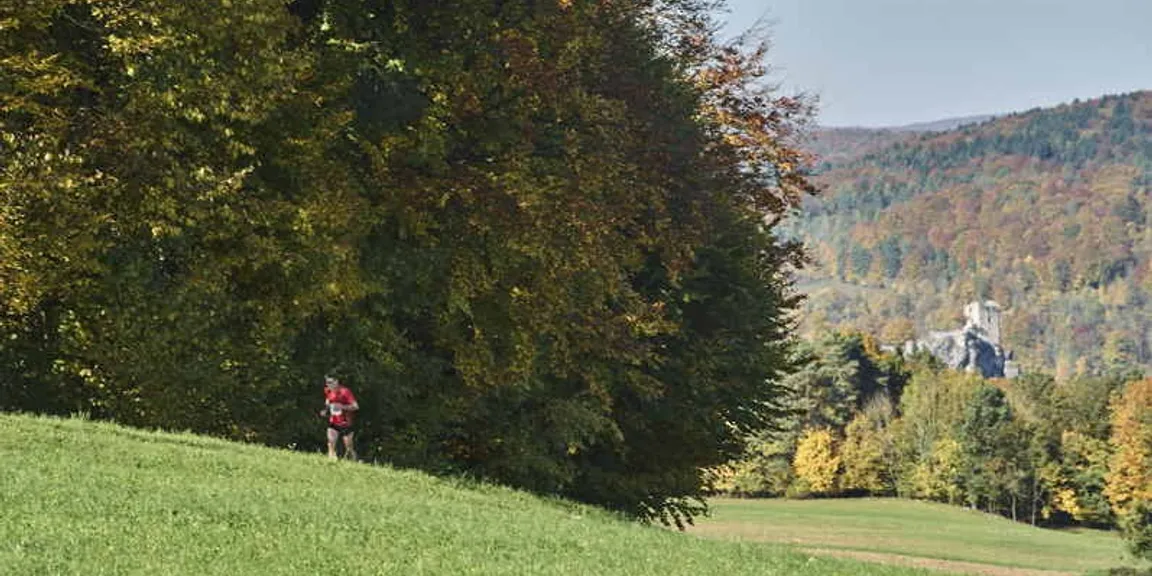 Frankenjura auf Waldpfaden und auf dem "Gebürg"