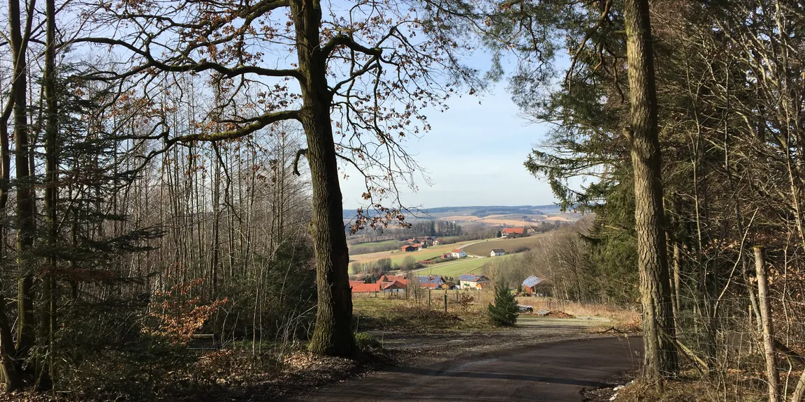 Blick ins Holzland
