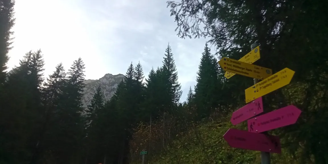 Wettkampfstrecke des Tegelberglaufs ab Tegelberg Talstation über Drehhüttenweg, Rohrkopfweg, Skiabfahrt zum Tegelberghaus und bis zur Bergstation.