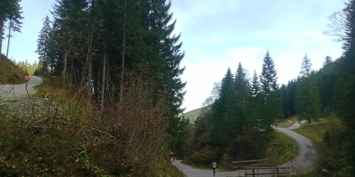 Wettkampfstrecke des Tegelberglaufs ab Tegelberg Talstation über Drehhüttenweg, Rohrkopfweg, Skiabfahrt zum Tegelberghaus und bis zur Bergstation.