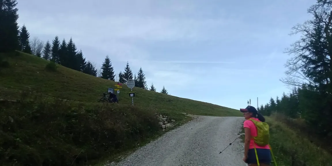 Wettkampfstrecke des Tegelberglaufs ab Tegelberg Talstation über Drehhüttenweg, Rohrkopfweg, Skiabfahrt zum Tegelberghaus und bis zur Bergstation.