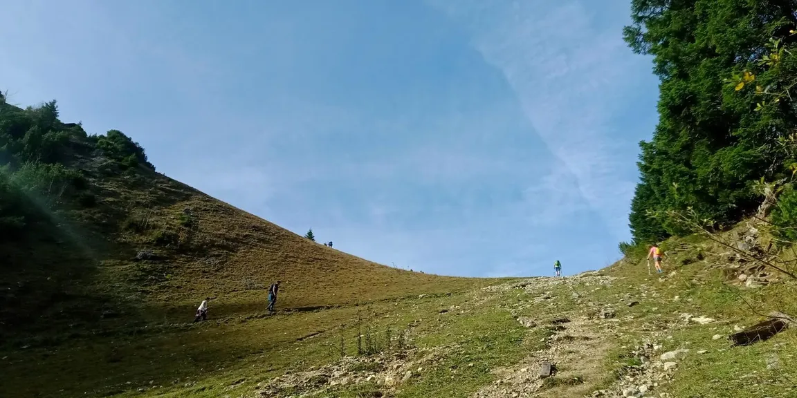 Wettkampfstrecke des Tegelberglaufs ab Tegelberg Talstation über Drehhüttenweg, Rohrkopfweg, Skiabfahrt zum Tegelberghaus und bis zur Bergstation.