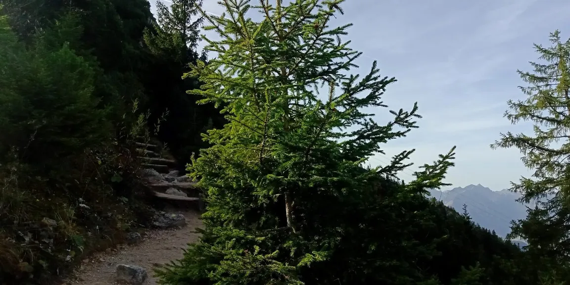 Wettkampfstrecke des Tegelberglaufs ab Tegelberg Talstation über Drehhüttenweg, Rohrkopfweg, Skiabfahrt zum Tegelberghaus und bis zur Bergstation.