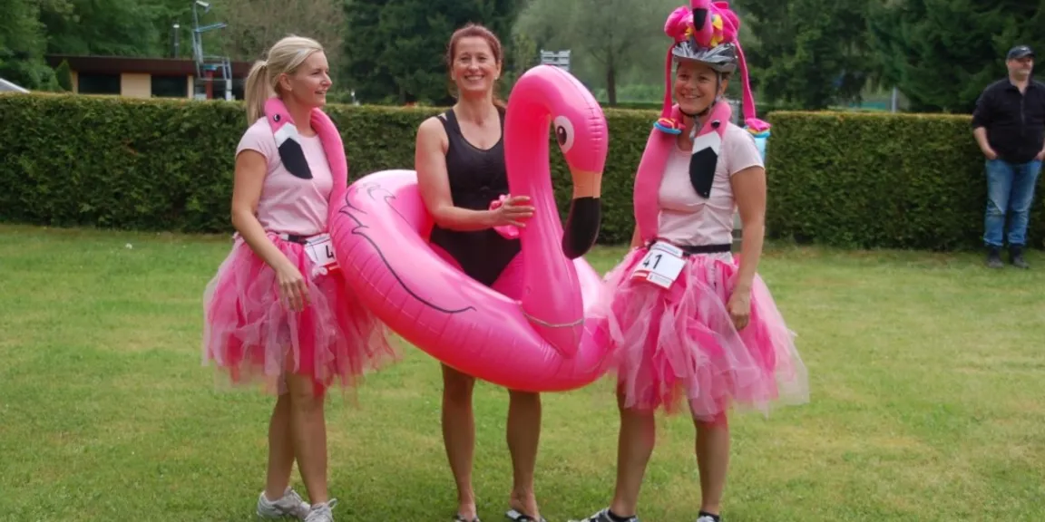 Team Flamingos