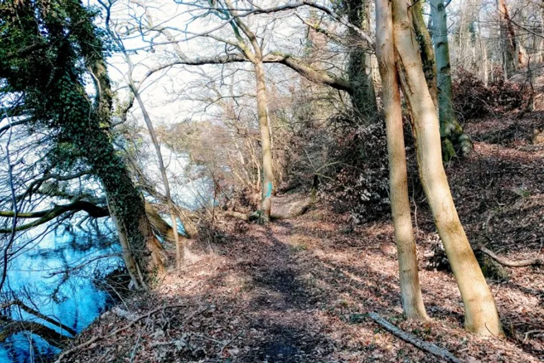 4. Schweriner Seentrail