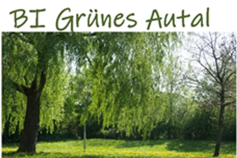 Spendenlauf Grünes Autal
