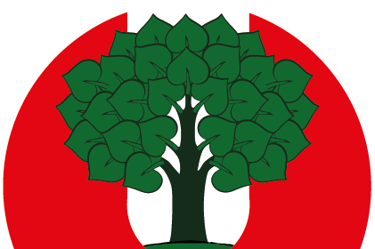 Nöchlinger Traillauf
