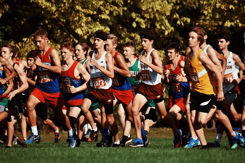Run 4 Trees 2024