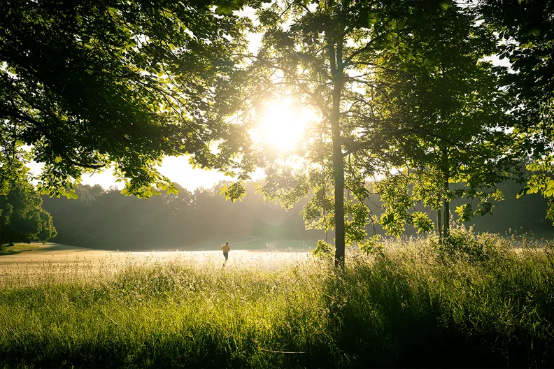 3. Sonnefelder Wald-Cross-Lauf