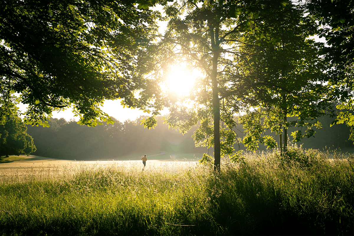 3. Sonnefelder Wald-Cross-Lauf
