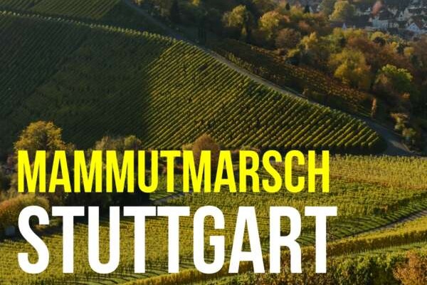 Mammutmarsch Stuttgart (30/60 KM) 2024