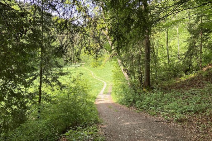 39. Schluchtlauf