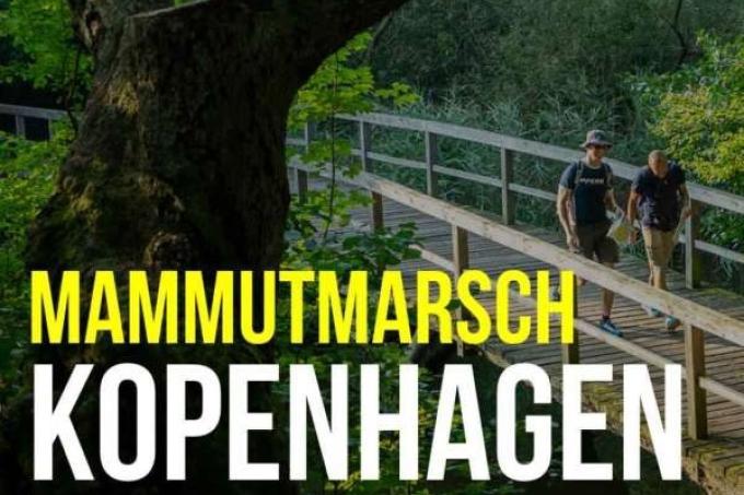 Mammutmarsch Kopenhagen (100 KM) 2025