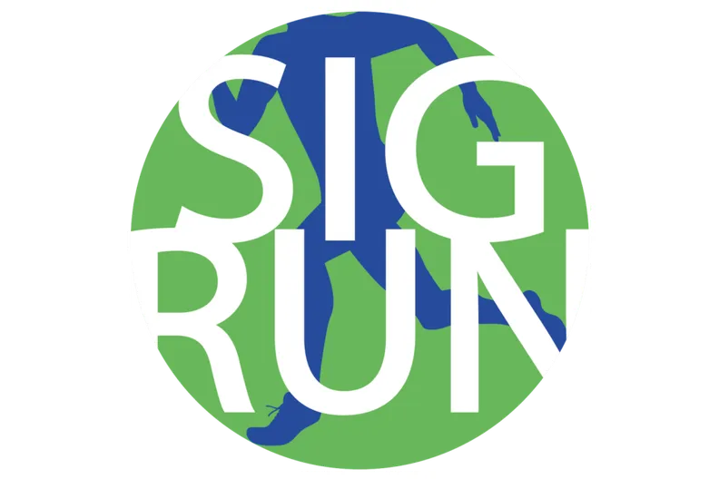 39. Silvesterlauf Sigmaringen 2025