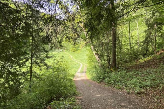 40. Schluchtlauf