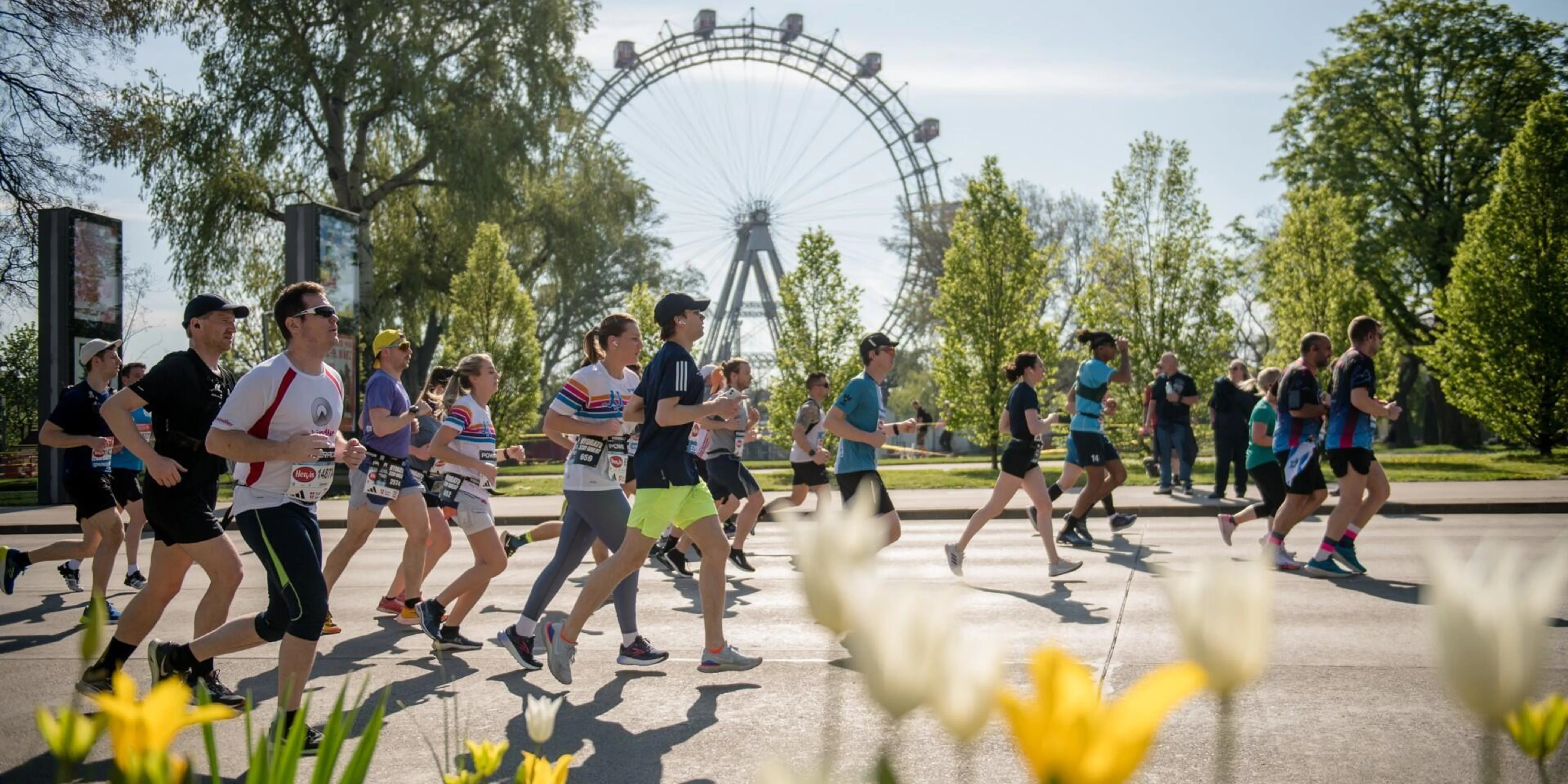 Moje sportovní síť