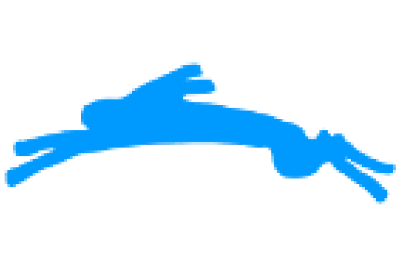 46. Öpfinger Osterlauf