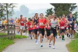 16. Labertal-Lauf mit Niederbayerischen Meisterschaften