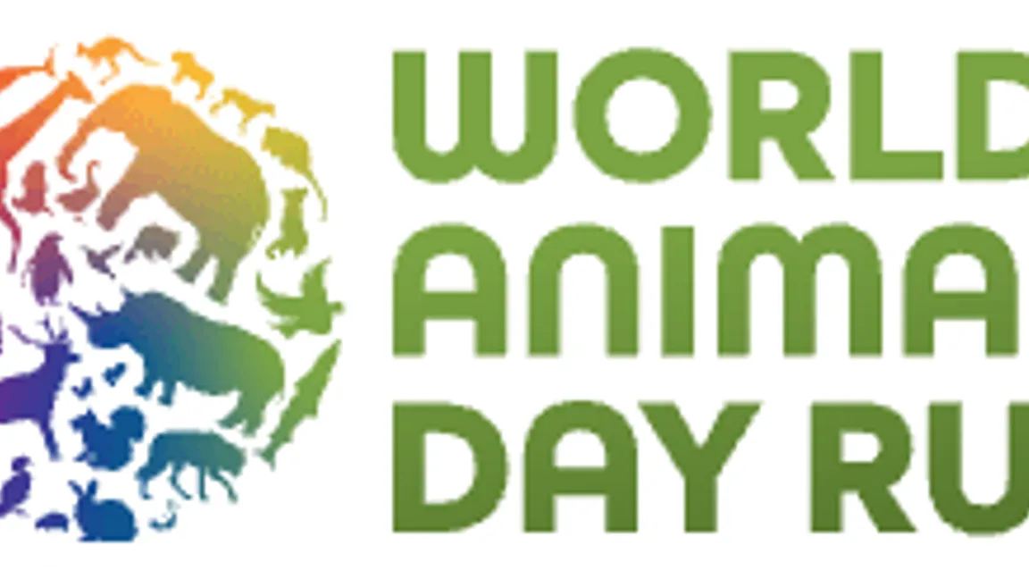 World Animal Day Run 2026: Virtueller Lauf für Tierschutz noch bis 4. Oktober