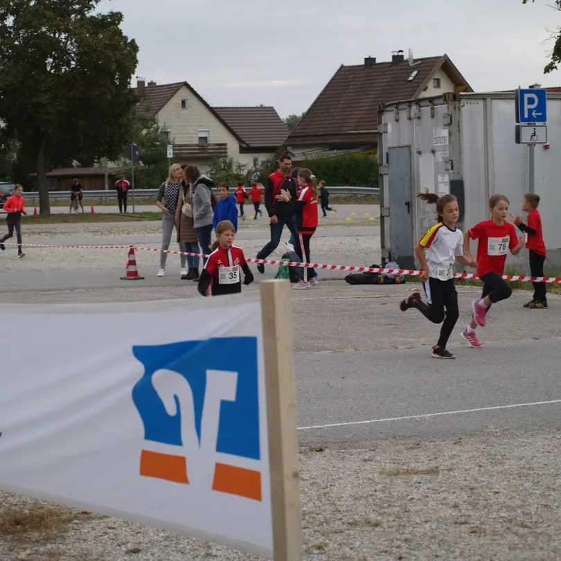 Media 33