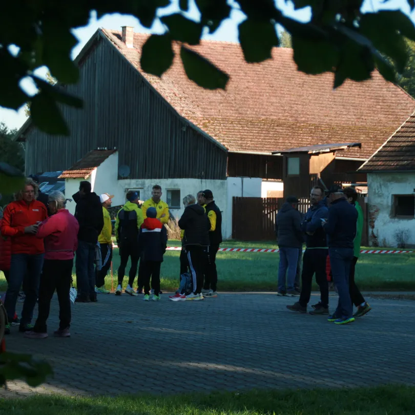 Media 31