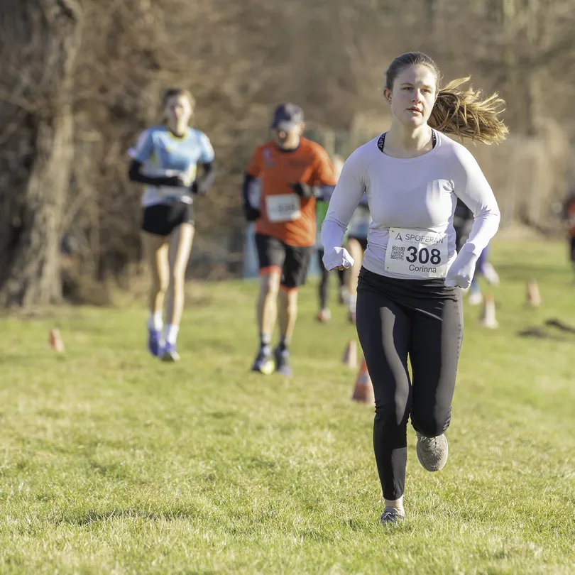 Media 33