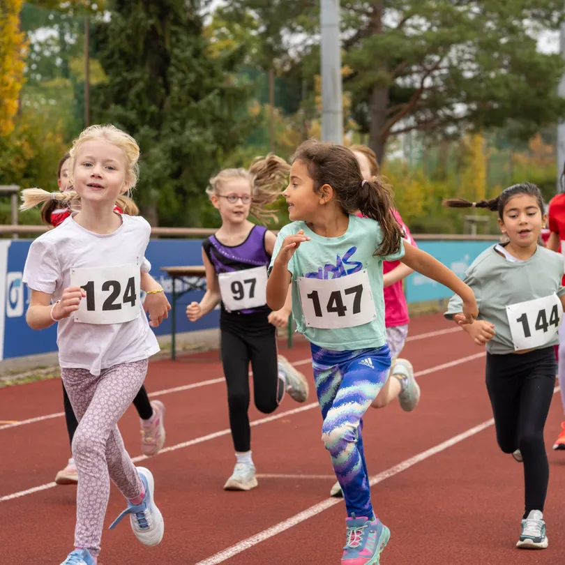 Media 13